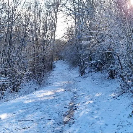 Auszeit In Der Vulkaneifel * Üdersdorf