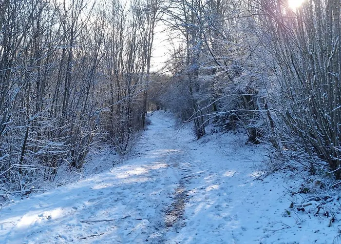 Auszeit In Der Vulkaneifel * Udersdorf